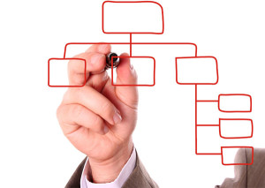tackling taxonomies
