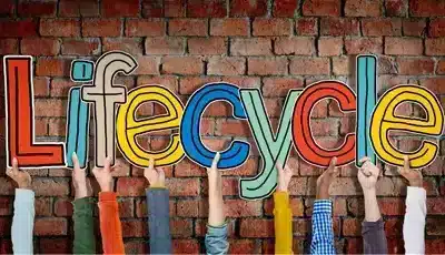 Keep the Wheels of Your Customer Lifecycle in Motion