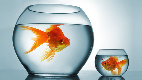 B2B Distributors and Manufacturers