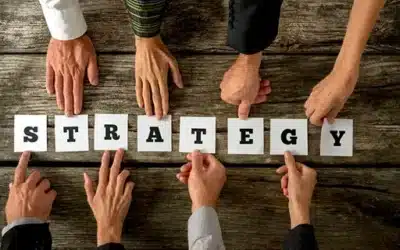 Diverse Business Models and Strategies Make eCommerce a Viable Tool for Many