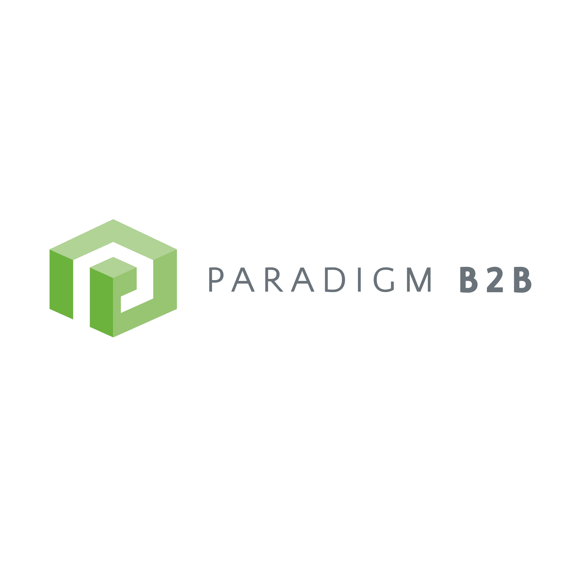 ParadigmB2B_logo_light-background2 Paradigm B2B Logo