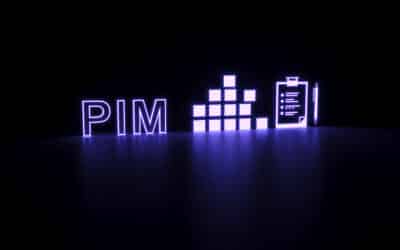Five Key Questions to Ask Before Deploying a PIM Solution