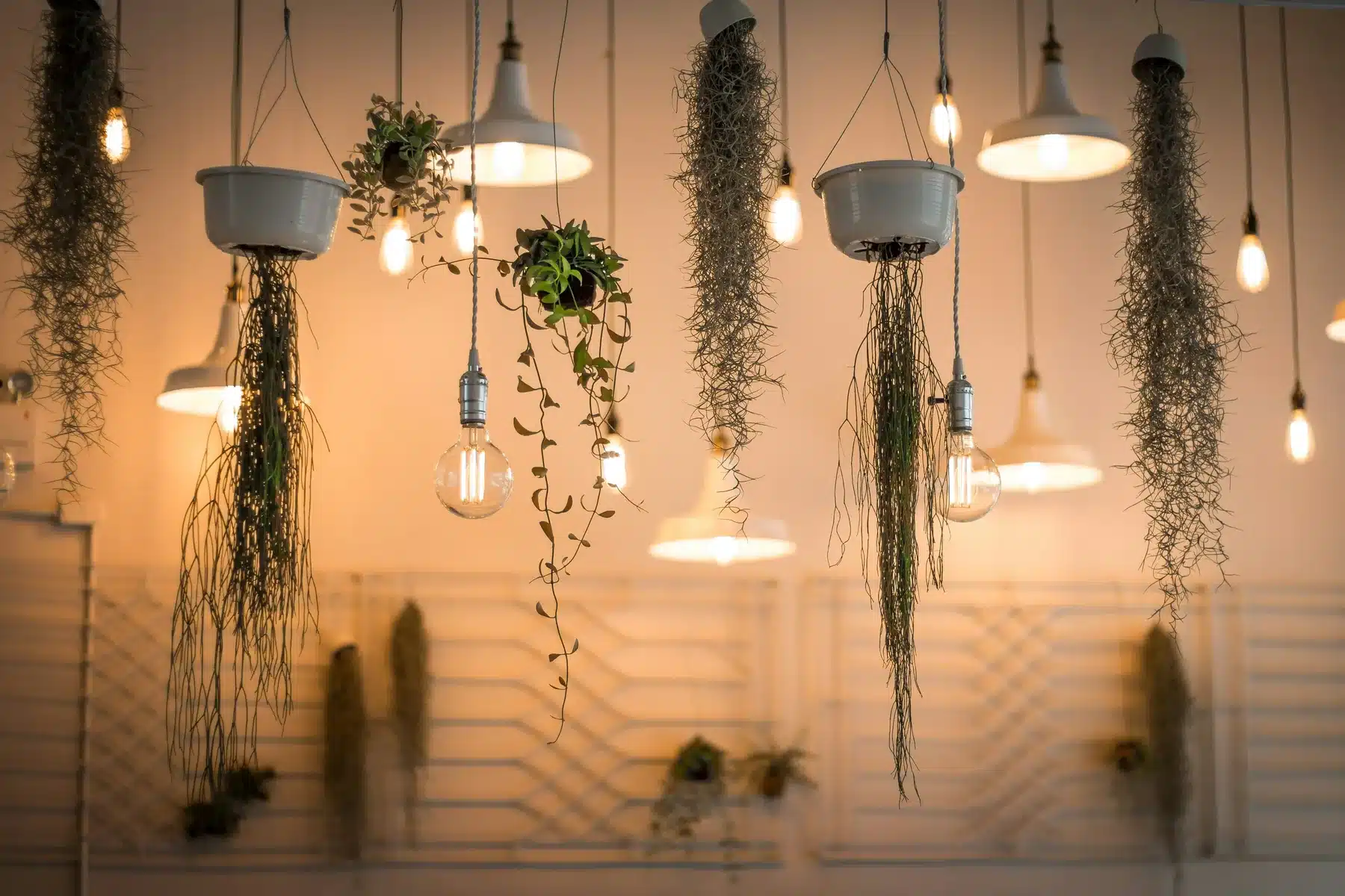 B&P Lamp Supply — photo